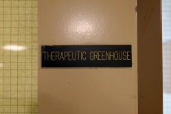 Photo © Julia Solis