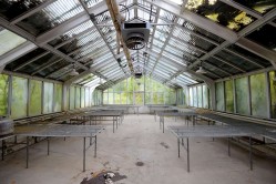 Photo © Julia Solis