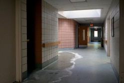 Photo © Julia Solis