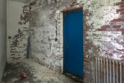 Photo © Julia Solis