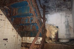 Photo © Julia Solis