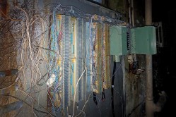 Photo © Julia Solis