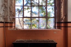 Photo © Julia Solis