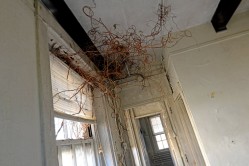 Photo © Julia Solis