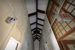 Photo © Julia Solis