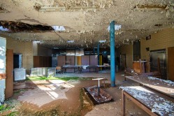 Photo © Julia Solis