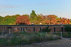 Photo © Julia Solis