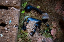 Photo © Julia Solis