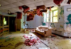 Photo © Julia Solis