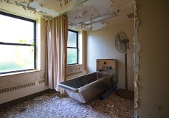 Photo © Julia Solis