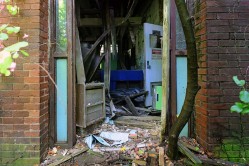 Photo © Julia Solis