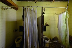 Photo © Julia Solis