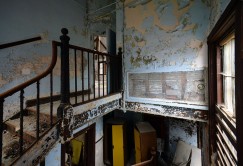 Photo © Julia Solis