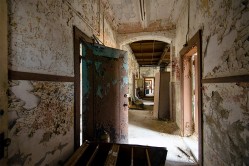 Photo © Julia Solis