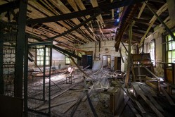 Photo © Julia Solis