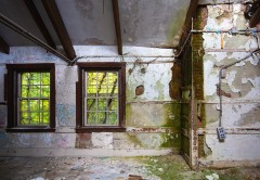 Photo © Julia Solis