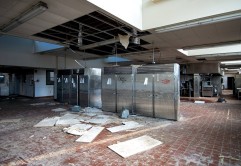 Photo © Julia Solis