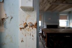 Photo © Julia Solis