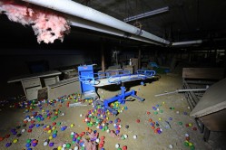 Photo © Julia Solis