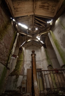 Photo © Bryan Parcival