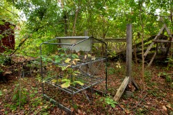 Outdoor plant area, located next to the building. Photo © Tom Kirsch