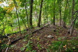 Old railroad spur for coal delivery. Photo © Tom Kirsch